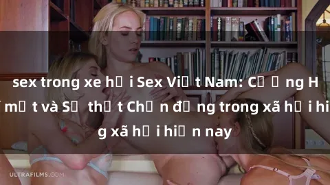 sex trong xe hơi Sex Việt Nam: Cưỡng Hiếp - Bí mật và Sự thật Chấn động trong xã hội hiện nay